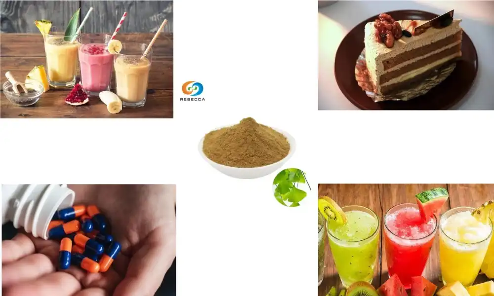 What is ginkgo biloba extract powder used for?